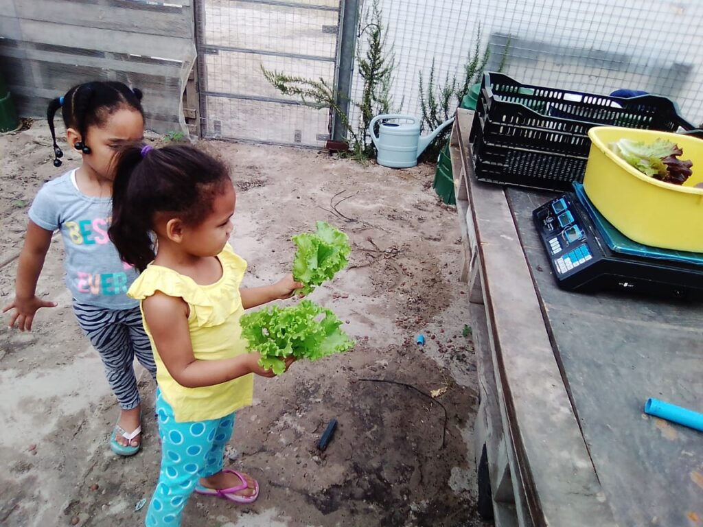 photo of children 1